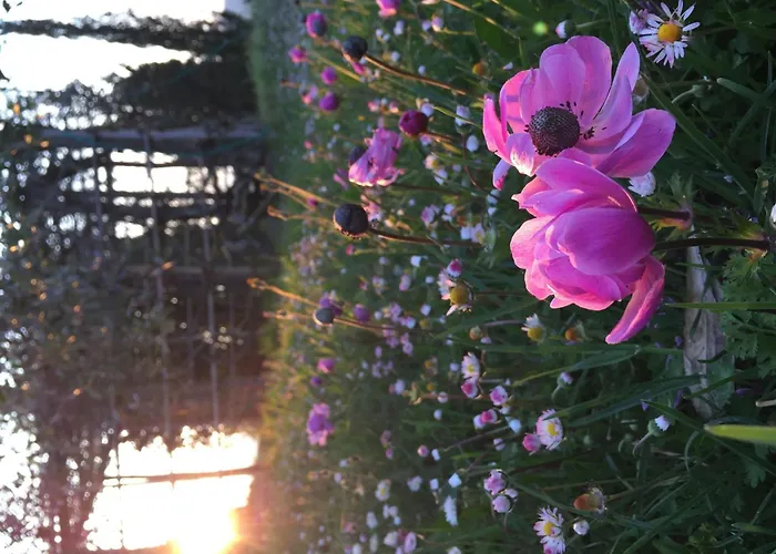 La Terrazza By Interhome * 몬타이오네